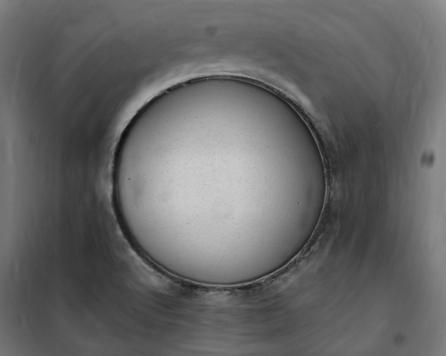 X0000100501512200806201703