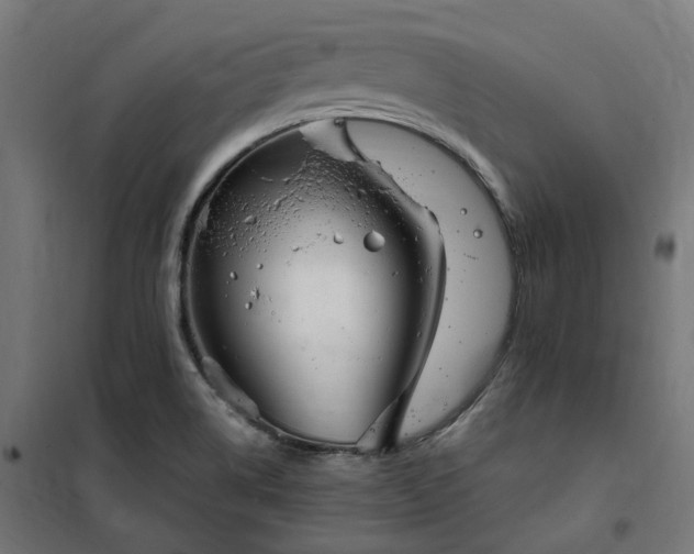 X0000100501514200806201703