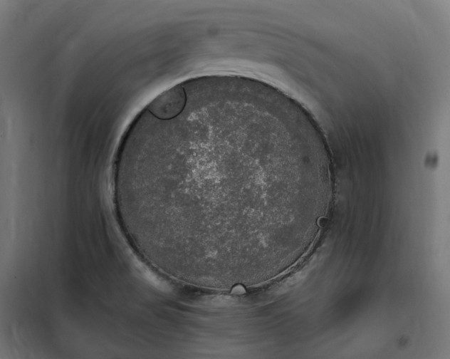 X0000100501517200806201703