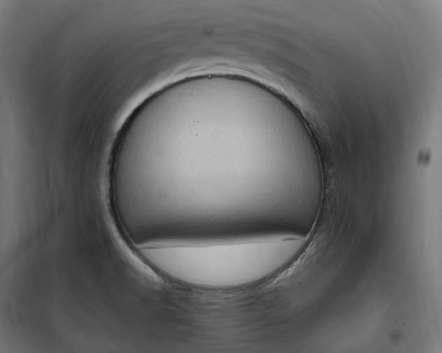 X0000100501518200806201703