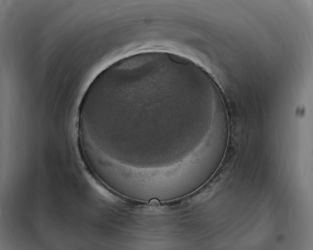 X0000100501519200806201703