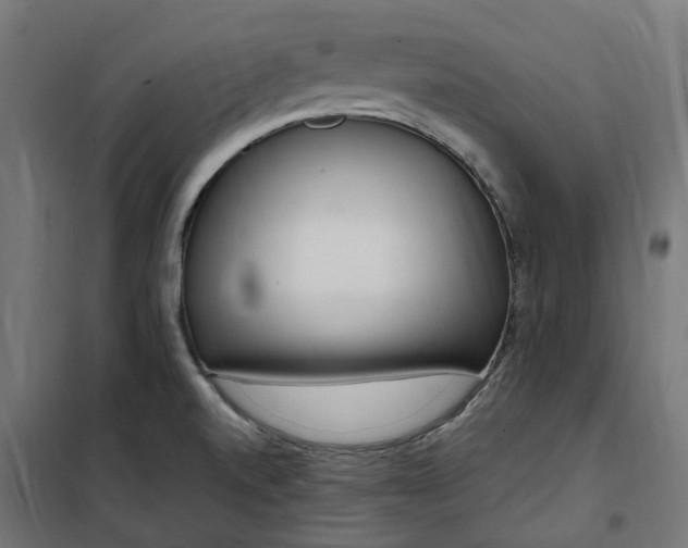 X0000100501520200806201703