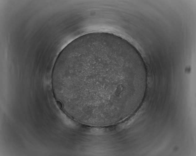 X0000100501521200806201703