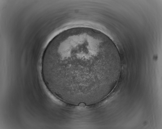 X0000100501523200806201703