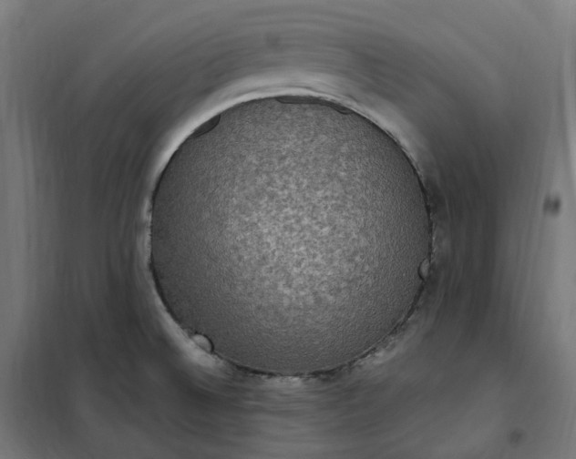 X0000100501524200806201703