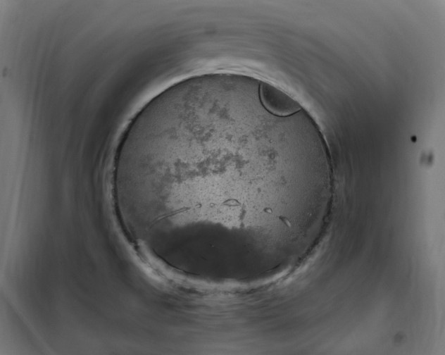 X0000100501525200806201703