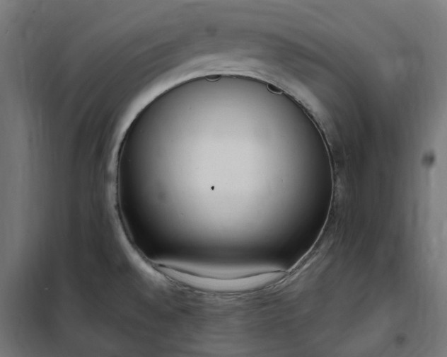 X0000100501528200806201704