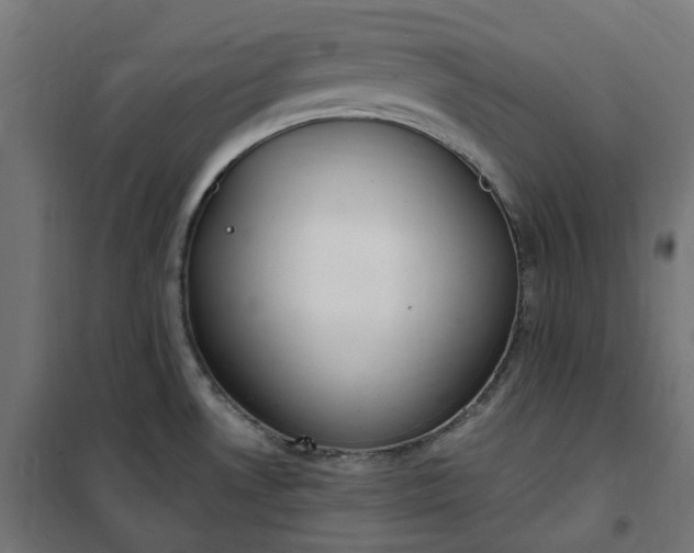 X0000100501530200806201704