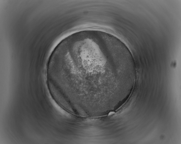 X0000100501531200806201704