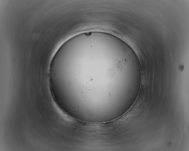 X0000100501532200806201704