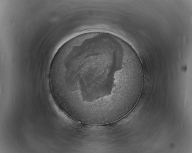 X0000100501534200806201704