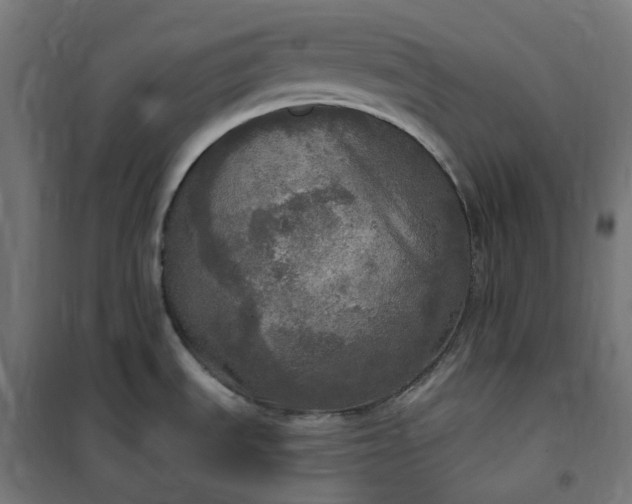 X0000100501535200806201704