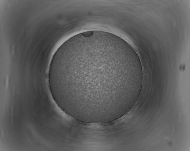 X0000100501536200806201704