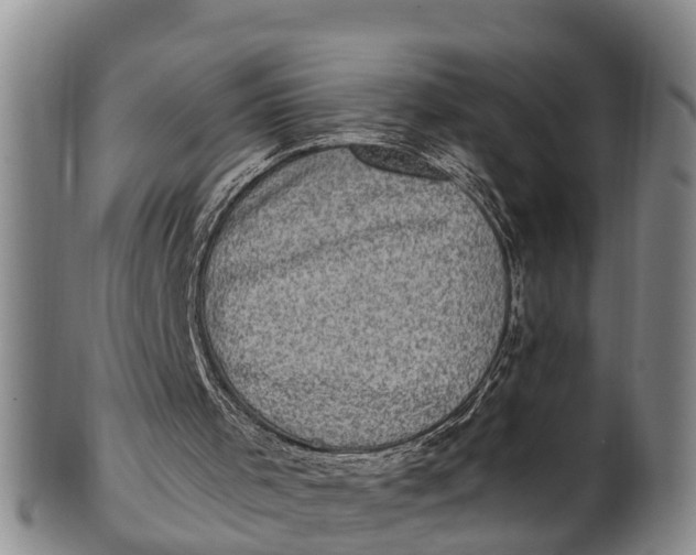 X0000100500001200806271309