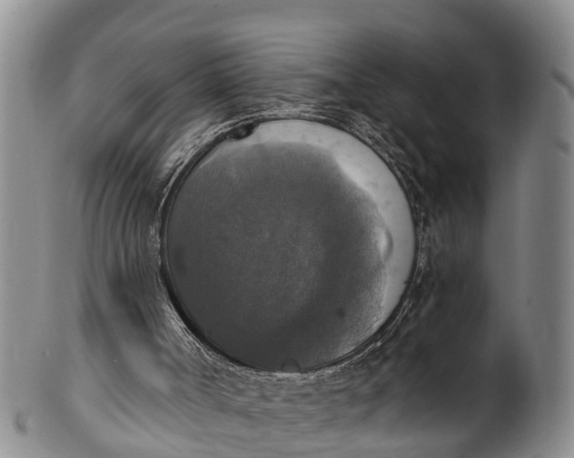 X0000100500002200806271309