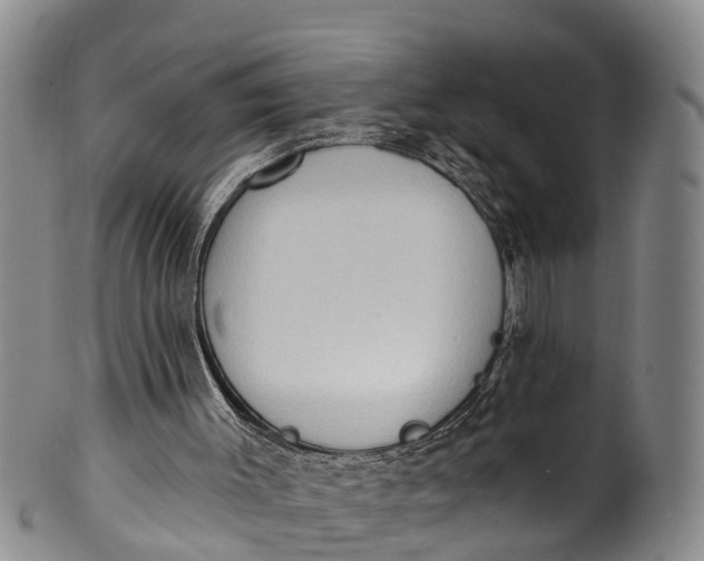 X0000100500003200806271309