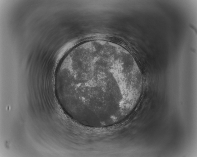 X0000100500006200806271309