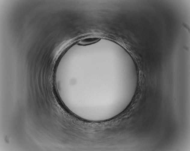 X0000100500007200806271309