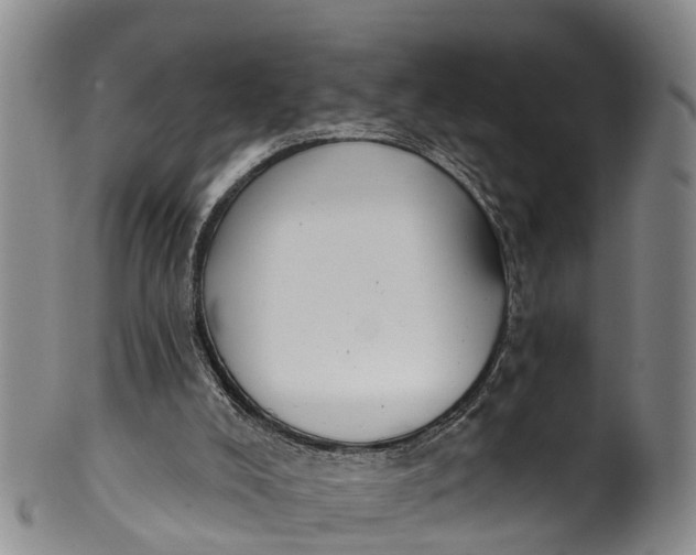 X0000100500008200806271309