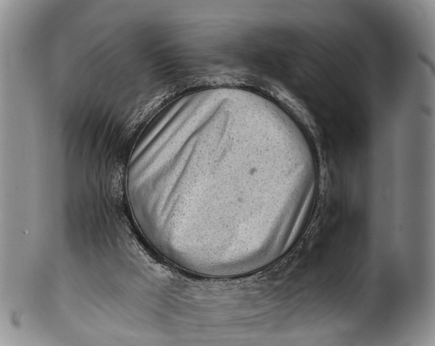 X0000100500009200806271309