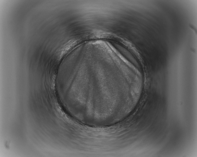 X0000100500010200806271309