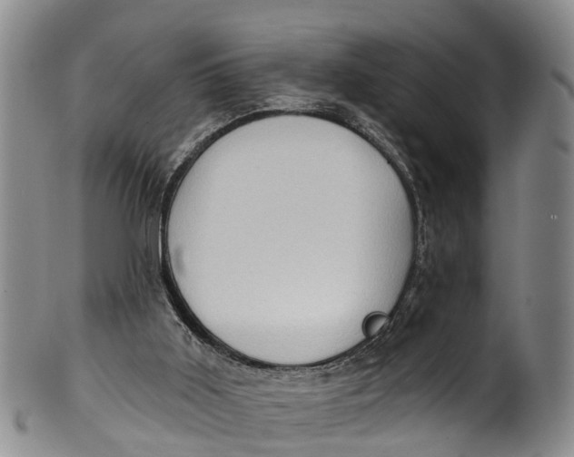 X0000100500011200806271309