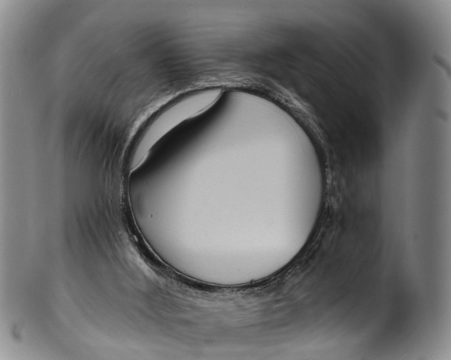 X0000100500012200806271309