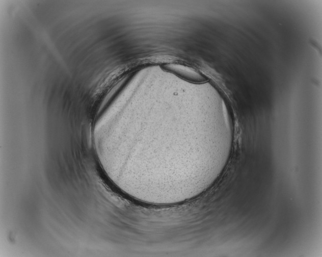 X0000100500013200806271309