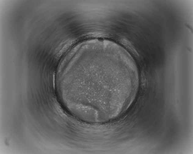 X0000100500014200806271309