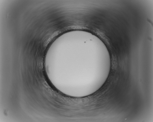 X0000100500015200806271309