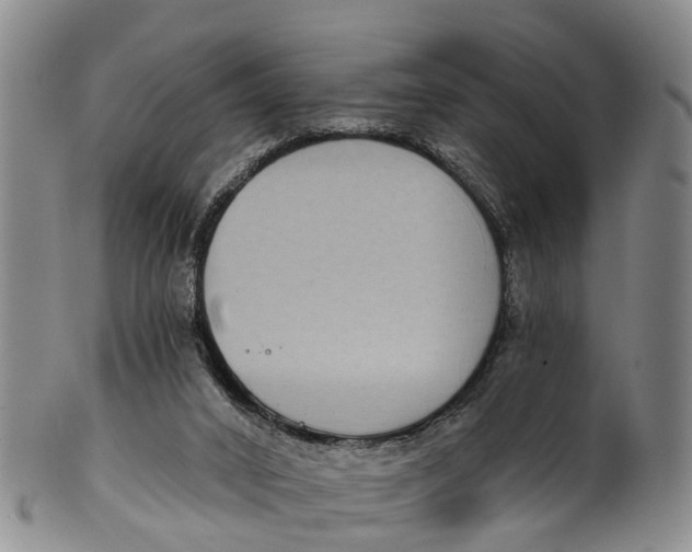 X0000100500016200806271309