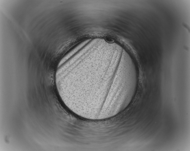 X0000100500017200806271309