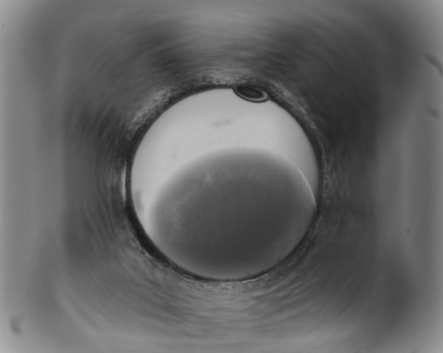 X0000100500019200806271309