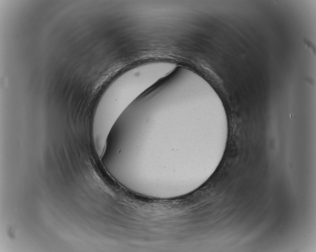 X0000100500020200806271309