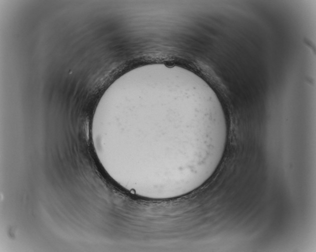 X0000100500021200806271309