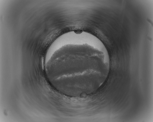 X0000100500022200806271309