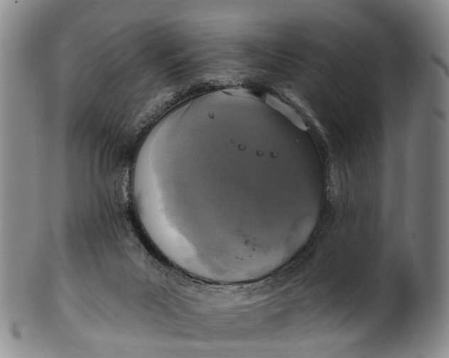 X0000100500023200806271309