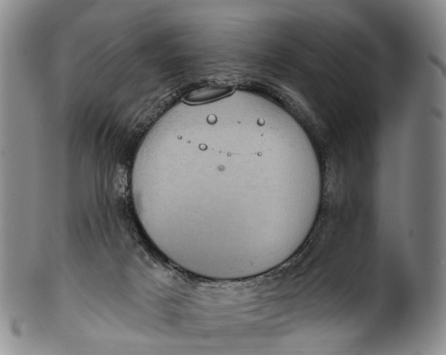 X0000100500025200806271309