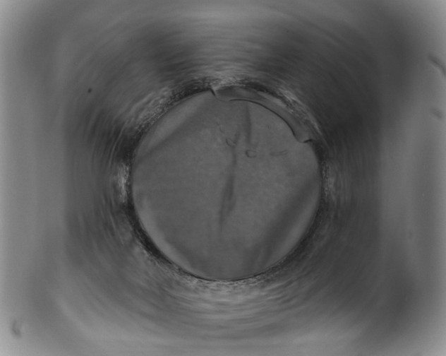 X0000100500026200806271309