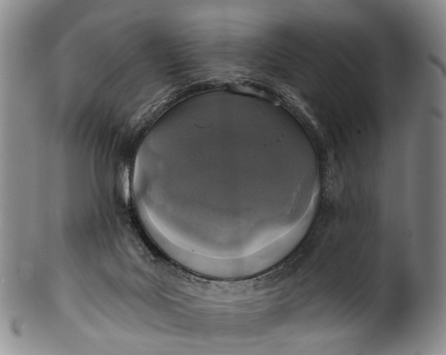 X0000100500027200806271309