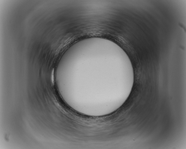 X0000100500028200806271309