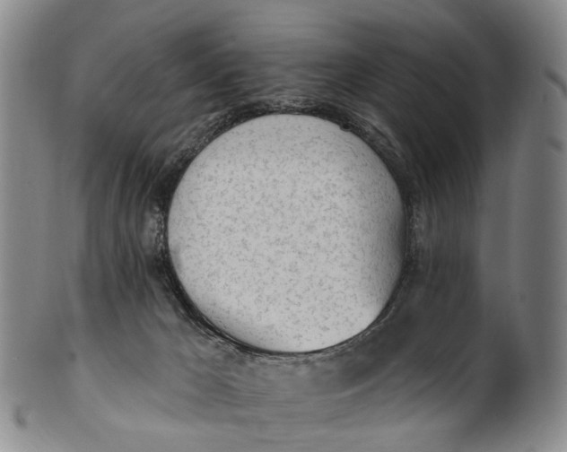 X0000100500029200806271309