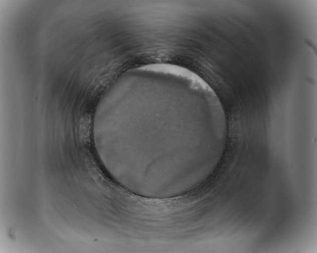 X0000100500030200806271309