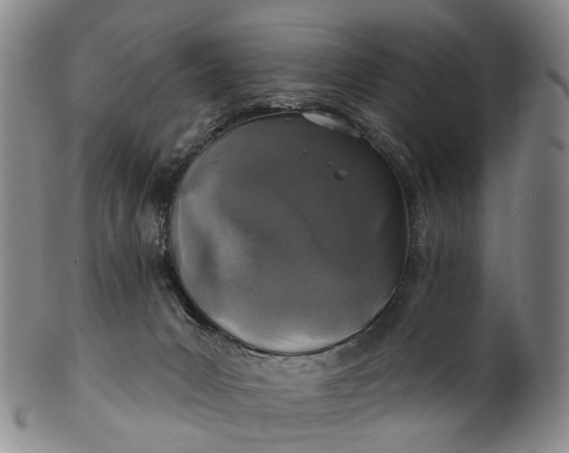 X0000100500031200806271309