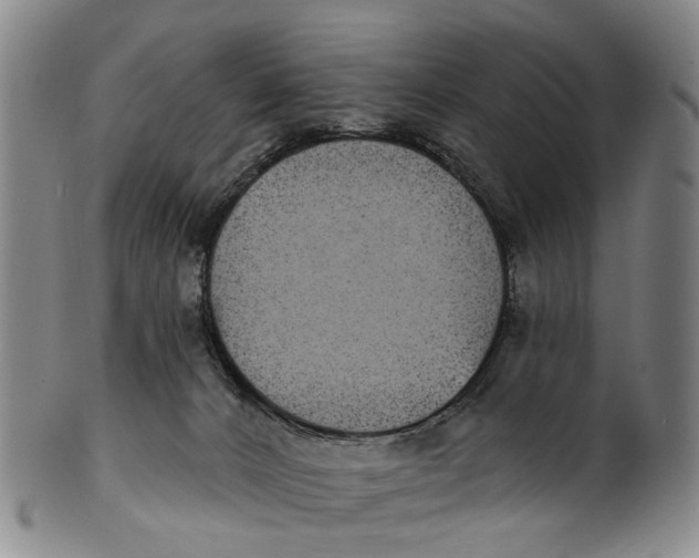 X0000100500032200806271309