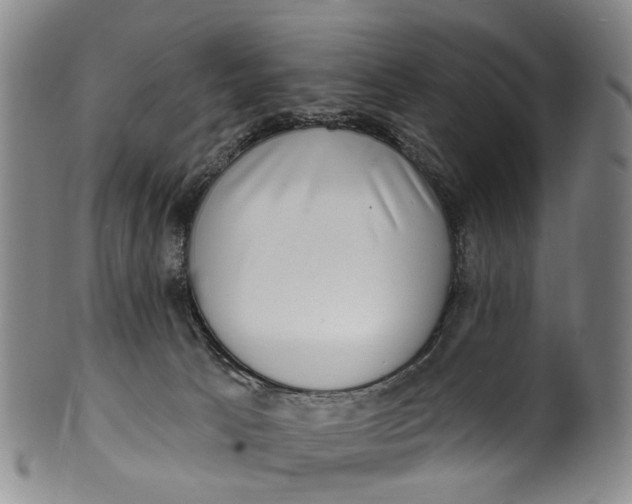 X0000100500033200806271309