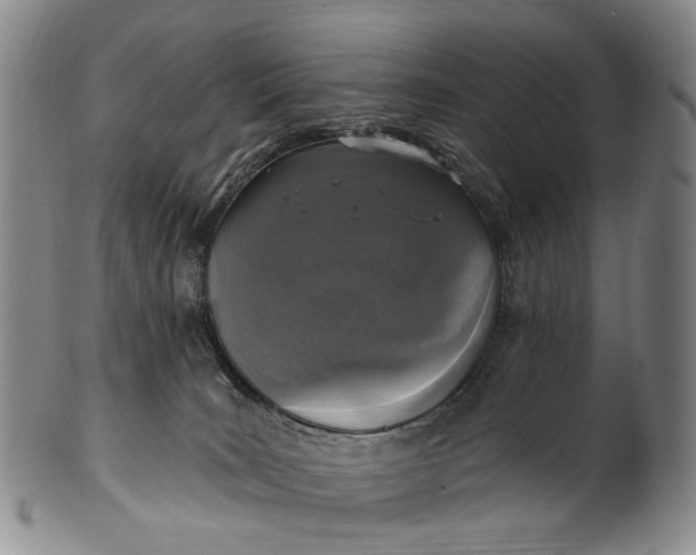 X0000100500035200806271309