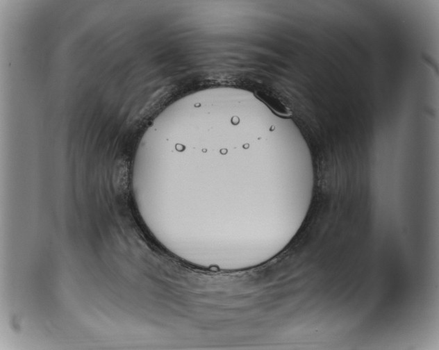 X0000100500036200806271309