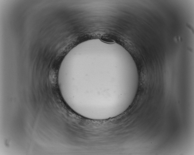 X0000100500037200806271309