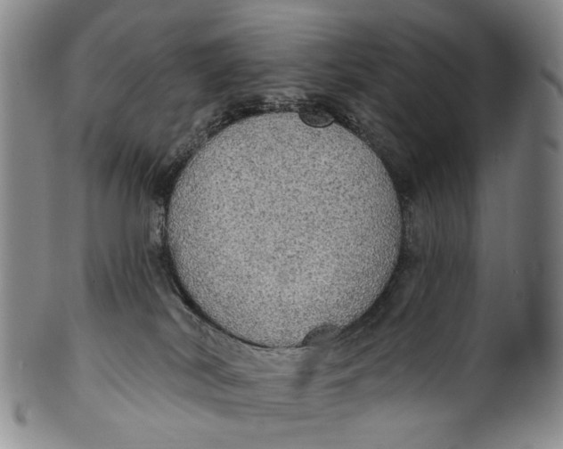 X0000100500038200806271309